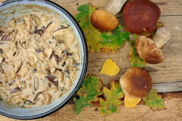 Z czym sos grzybowy? Odkryj najlepsze dania do podania