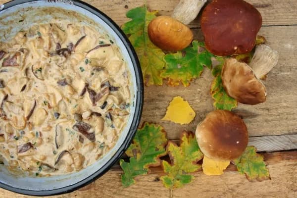 Z czym sos grzybowy? Odkryj najlepsze dania do podania